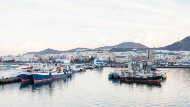Ships are pictured docked in port Las Palmas de Gran Canaria, Spain. clipart