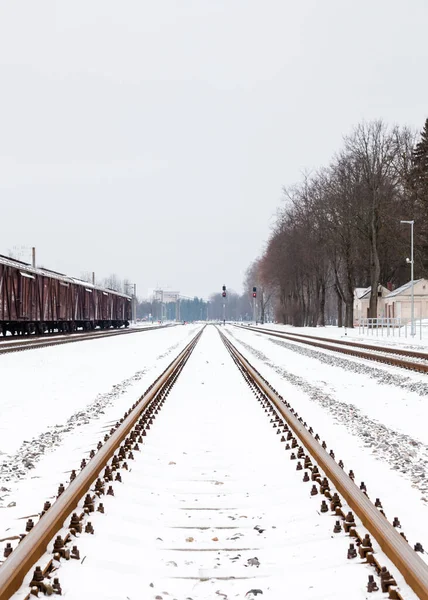 Snow Covered Railway Track Sigulda Vista Longo Uma Linha Férrea — Fotografia de Stock