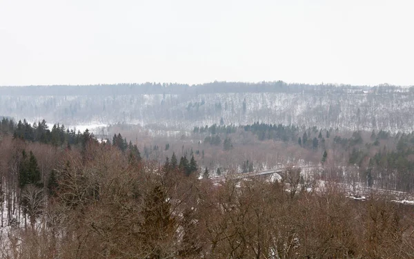 Kilátás Gauja Folyó Völgyében Sigulda Lettország Sigulda Gauja Nemzeti Park — Stock Fotó