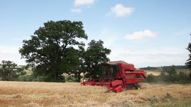 Uma Colheitadeira Que Limpa Campo Fazenda Southwaite Cúmbria Norte Inglaterra — Vídeo de Stock