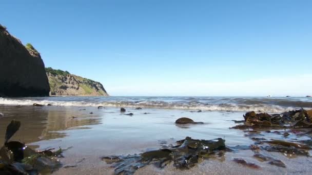 Robin Hood Bay Vista Sul Mare Dalla Baia Robin Hood — Video Stock