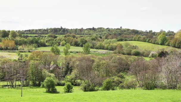 Tren Transpennine Express Dirige Través Southwaite Cumbria Norte Inglaterra — Vídeos de Stock