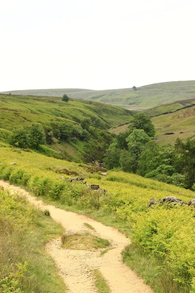 Bronte Trail Vista Lungo Bronte Trail Verso Cascata Del Bronte — Foto Stock