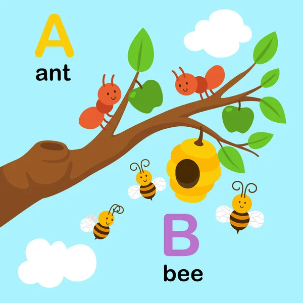 Алфавитное письмо A-ant, B-bee, иллюстрация — стоковый вектор