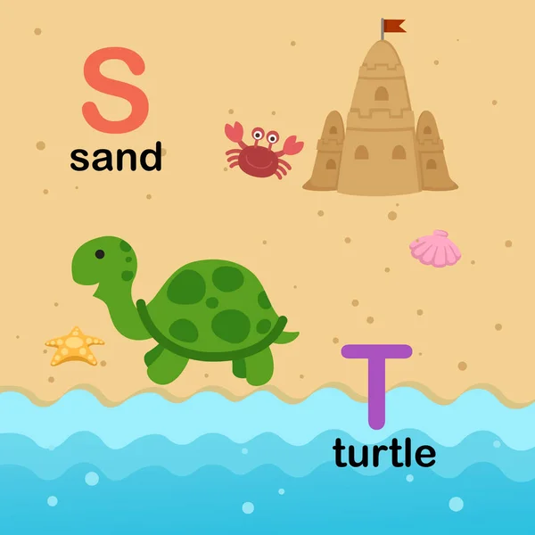 Alphabet Lettre S-sable, T-tortue, illustration — Image vectorielle