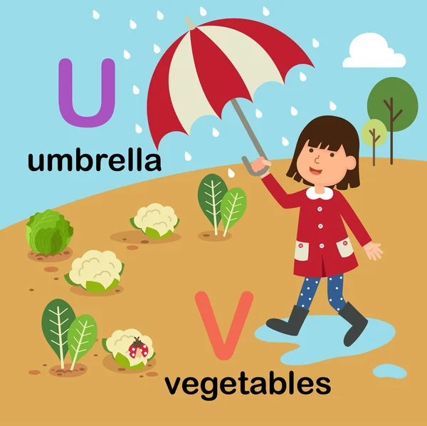 Alfabeto letra U-guarda-chuva, V-legumes, ilustração — Vetor de Stock