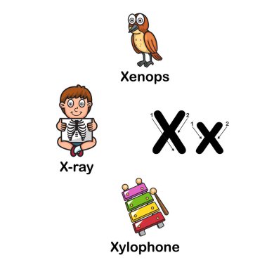 Alfabe harf X-xenops, x-ray, ksilofon illüstrasyon