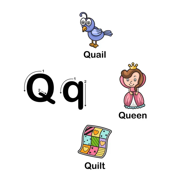 字母表字母 Q-鹌鹑，女王，被子图 — 图库矢量图片