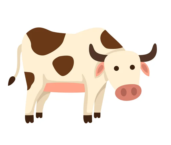 Ilustração de vaca isolada no fundo branco — Vetor de Stock