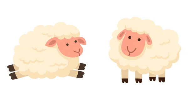 Illustration de moutons isolés sur fond blanc — Image vectorielle