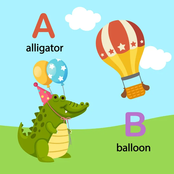 Ilustração Isolado alfabeto letra A-jacaré, B-balão —  Vetores de Stock