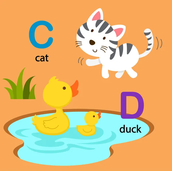 Иллюстрация Isolated Alphabet Letter C-cat, D-duck — стоковый вектор