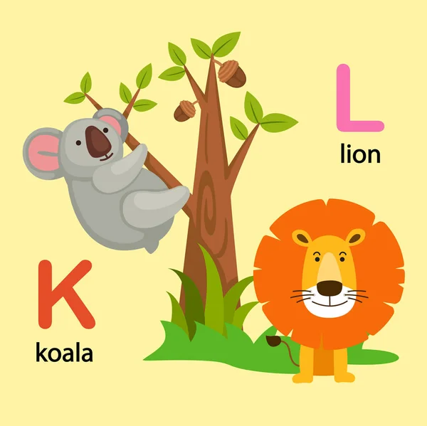 Alfabe harf K-koala, L-aslan illüstrasyon izole — Stok Vektör