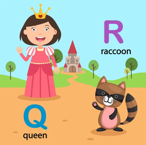 图孤立字母表字母 Q-女王，R 浣熊 — 图库矢量图片