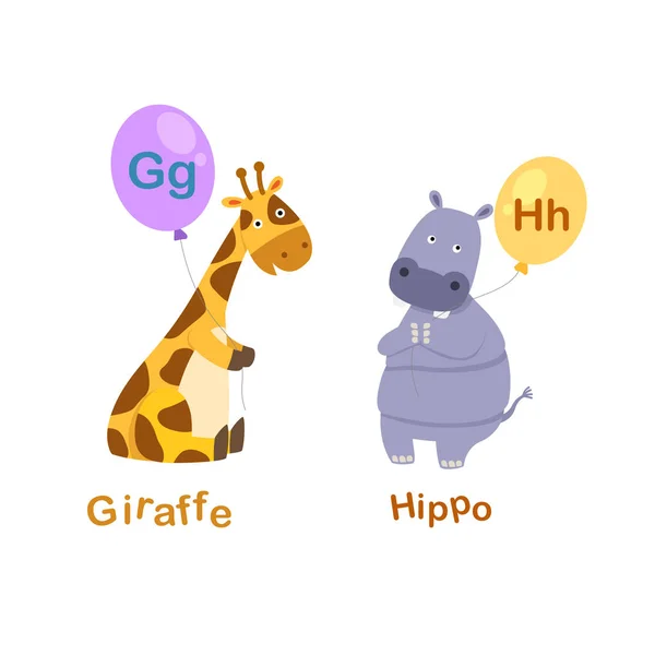 Abbildung isolierter Buchstabe g-giraffe, h-hippo — Stockvektor