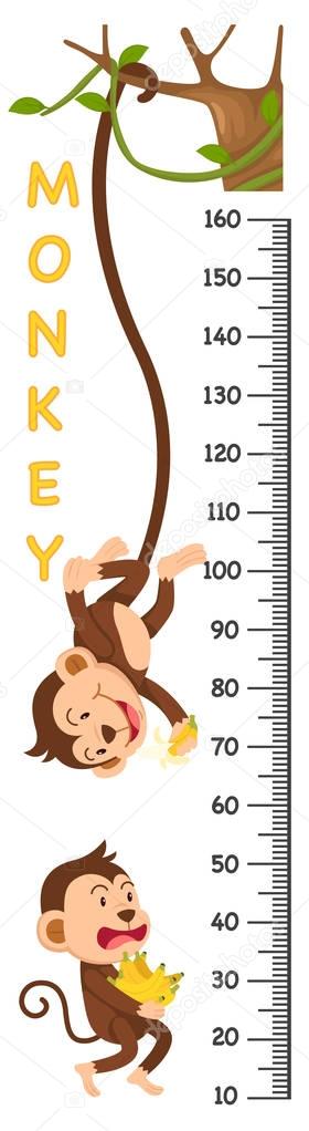 Meter wall with monkey.illustration.