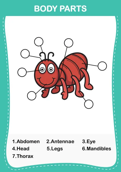 Ilustração do vocabulário da formiga parte do corpo, Escreva o nu correto — Vetor de Stock