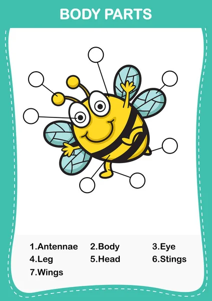 Illustration of bee vocabulary part of body, Write the correct nu — стоковый вектор