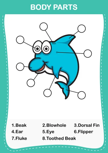 Illustration of dolphin vocabulary part of body, Write the corre — стоковый вектор