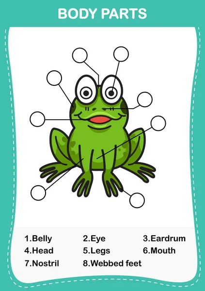 Illustration des Froschvokabulars Körperteil, schreiben Sie das korrekte n — Stockvektor