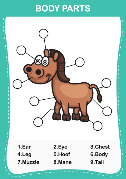 Illustration av häst ordförråd del av kropp, skriva rätt — Stock vektor
