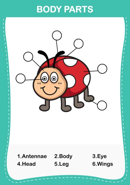 Illustration of lady bug vocabulary part of body, Write the corre — стоковый вектор