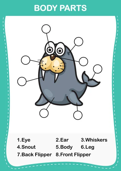 Illustrazione del vocabolario del leone marino parte del corpo, Scrivi il corno — Vettoriale Stock