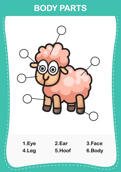 Illustration av fåren ordförråd del av kropp, skriva rätt — Stock vektor