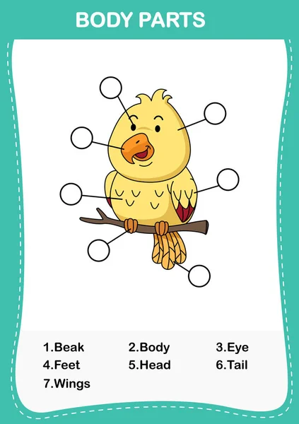 Illustration of bird vocabulary part of body, Write the correct n — стоковый вектор