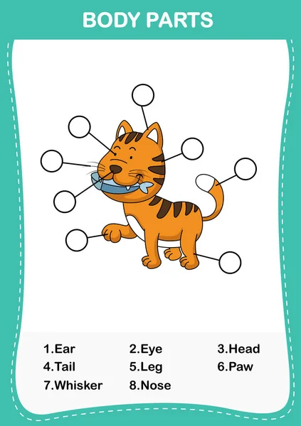 Illustration of cat vocabulary part of body, Write the correct nu — стоковый вектор