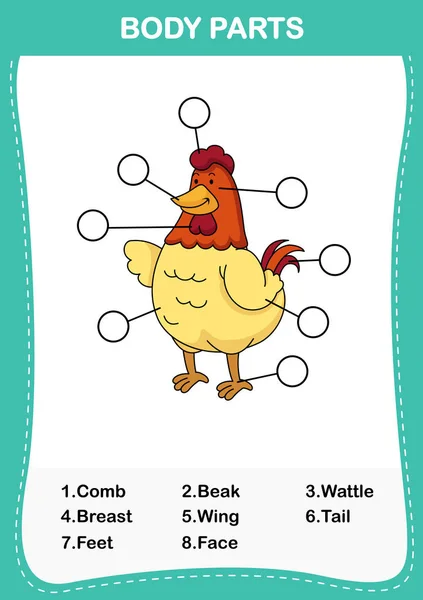 Illustration of chicken vocabulary part of body, Write the correc — стоковый вектор