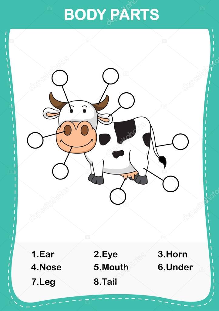 Illustration of cow vocabulary part of body,Write the correct nu