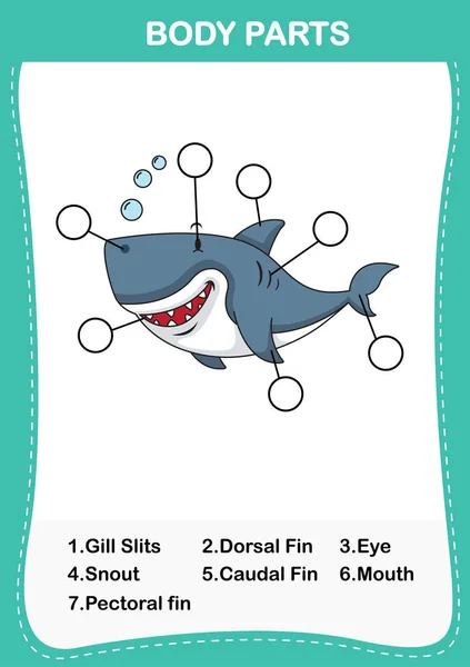 Illustration des Hai-Wortschatzes Körperteil, schreiben Sie die korrekte — Stockvektor