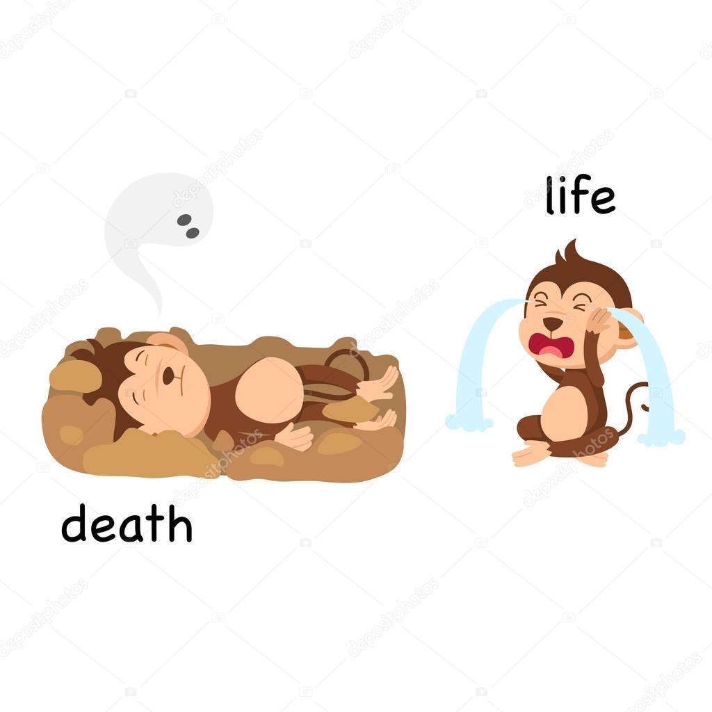 Opposite words death and life vector