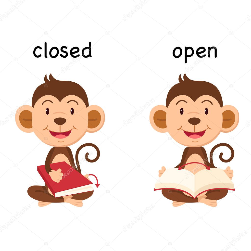 Opposite words closed and open vector