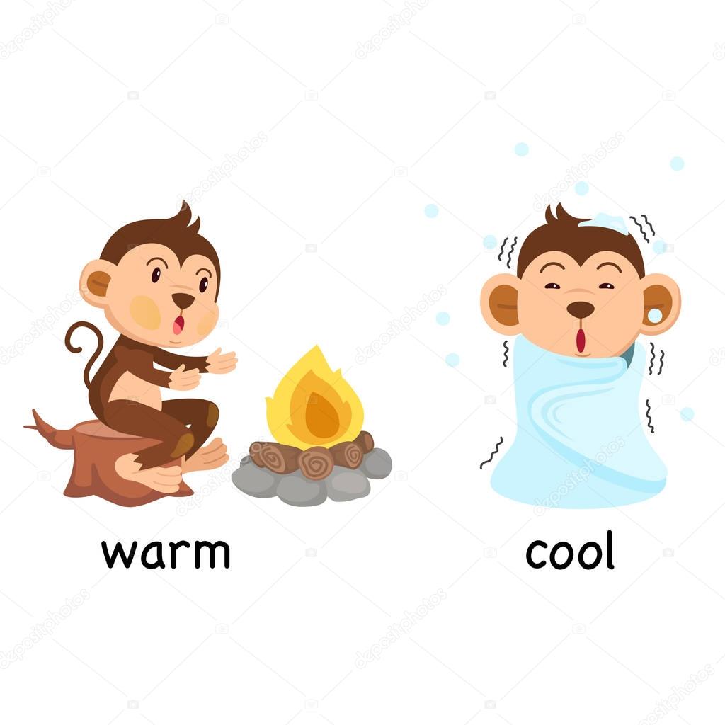 Opposite words warm and cool vector