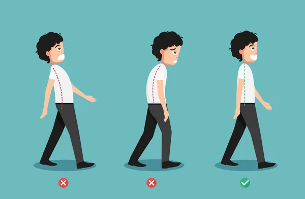 Wrong and correct walking posture,illustration — Stock Vector