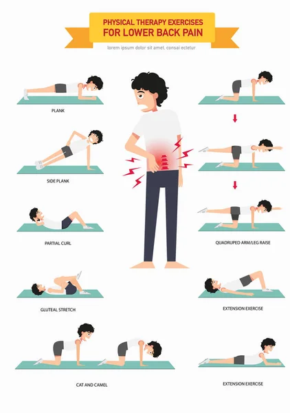 Fysiotherapie oefeningen voor de lagere rugpijn infographic, illu — Stockvector