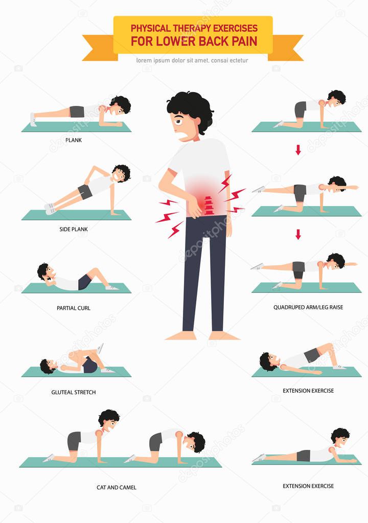 Physical therapy exercises for lower back pain infographic, illu
