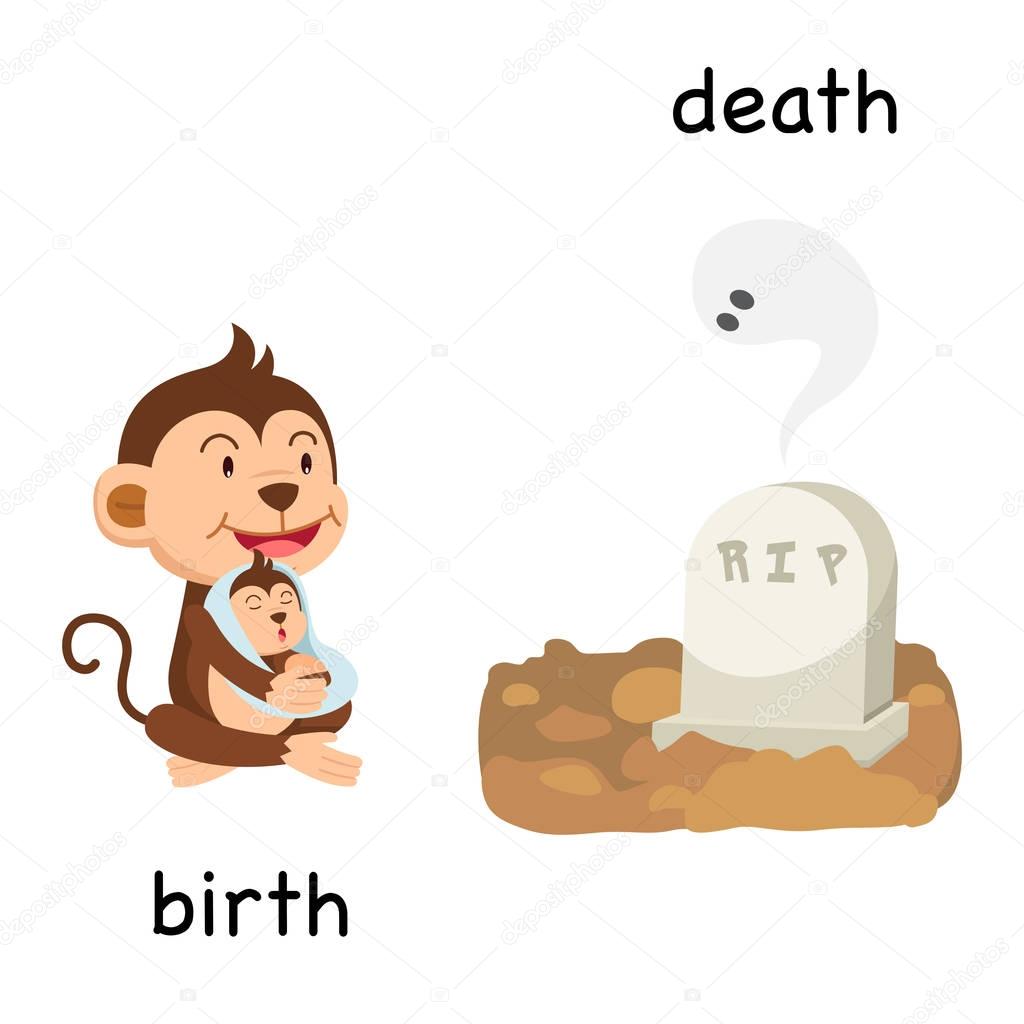 Opposite birth and death illustration