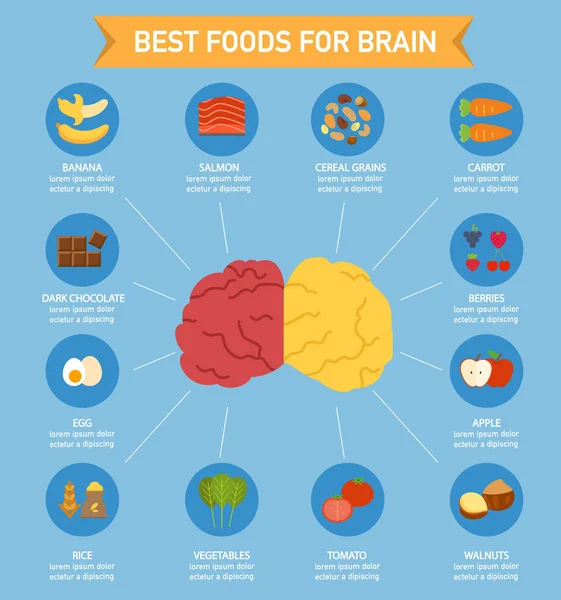 Poder cerebral alimentación infografía, ilustración — Vector de stock