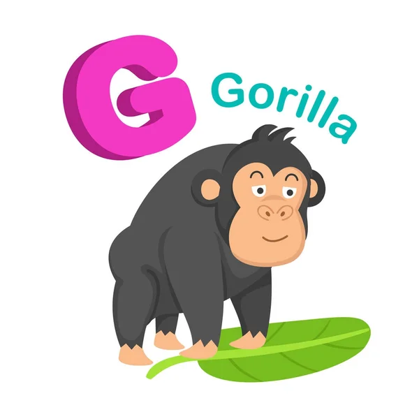 Illustration Isolated Alphabet Letter G Gorilla — Stock Vector