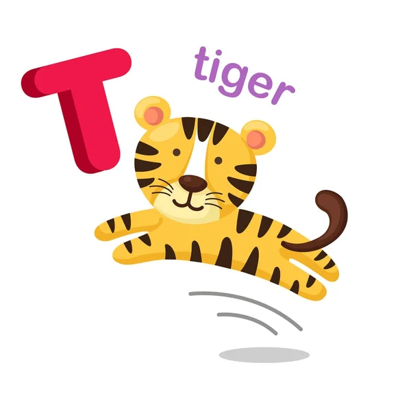 Ilustración Alfabeto aislado Letra T tigre — Vector de stock