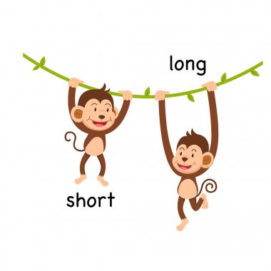 Kısa ve uzun illüstrasyon karşısında