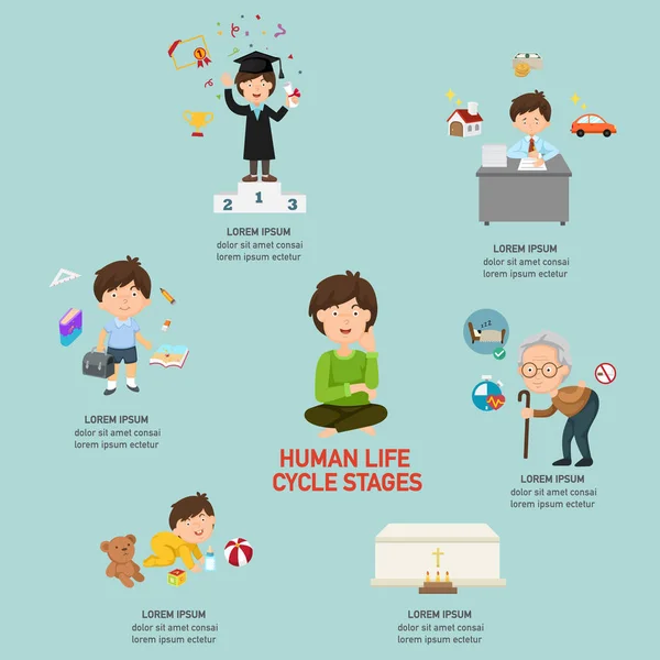 Stadi del ciclo di vita umano infografica, illustrazione vettoriale . — Vettoriale Stock