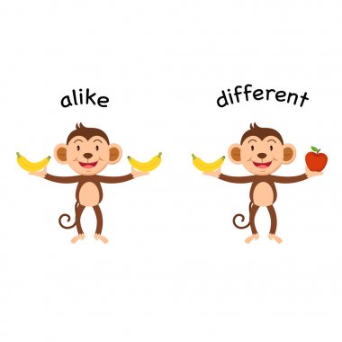 Benzer ve farklı vektör çizim karşısında