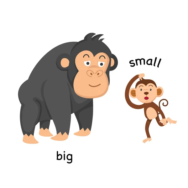 Big and small Vectors & Illustrations for Free Download