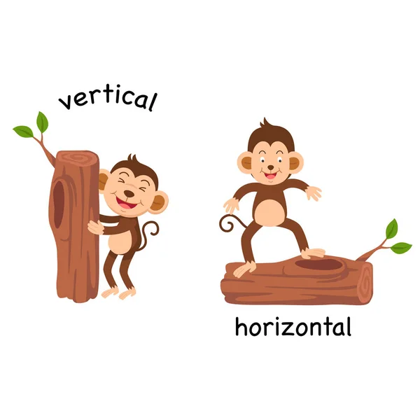 Ilustración vectorial vertical y horizontal opuesta — Archivo Imágenes Vectoriales