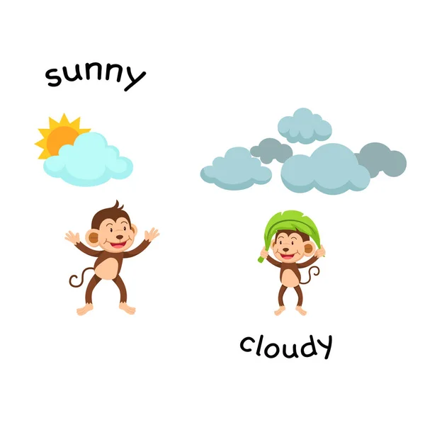 Opposite sunny and cloud vector illustration — Stock Vector