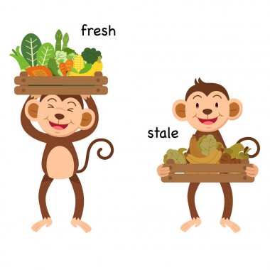 Taze ve bayat vektör çizim karşısında